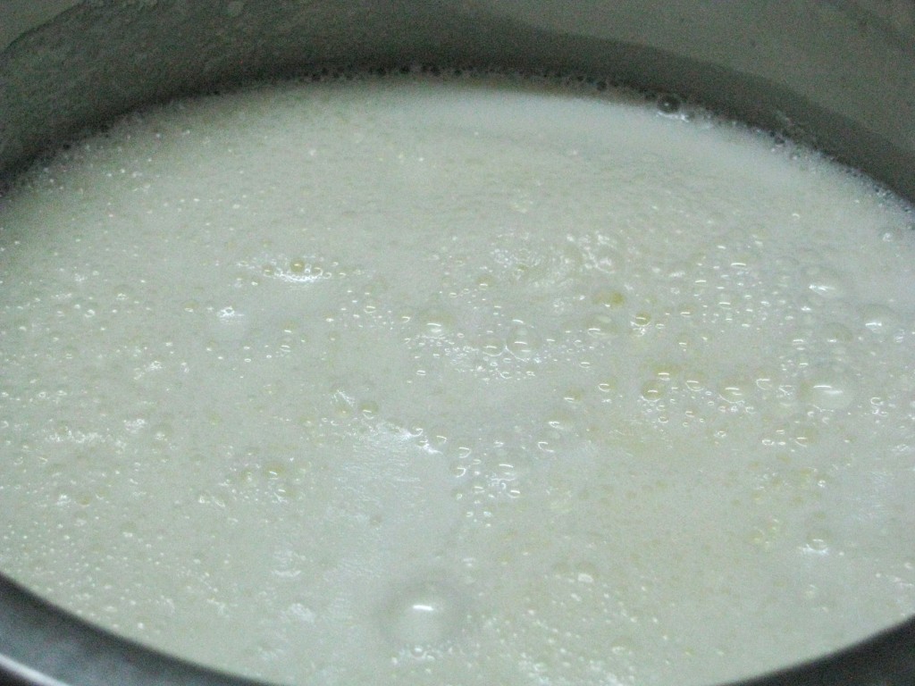 Whole Milk For rajbhog