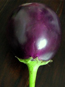 eggplant