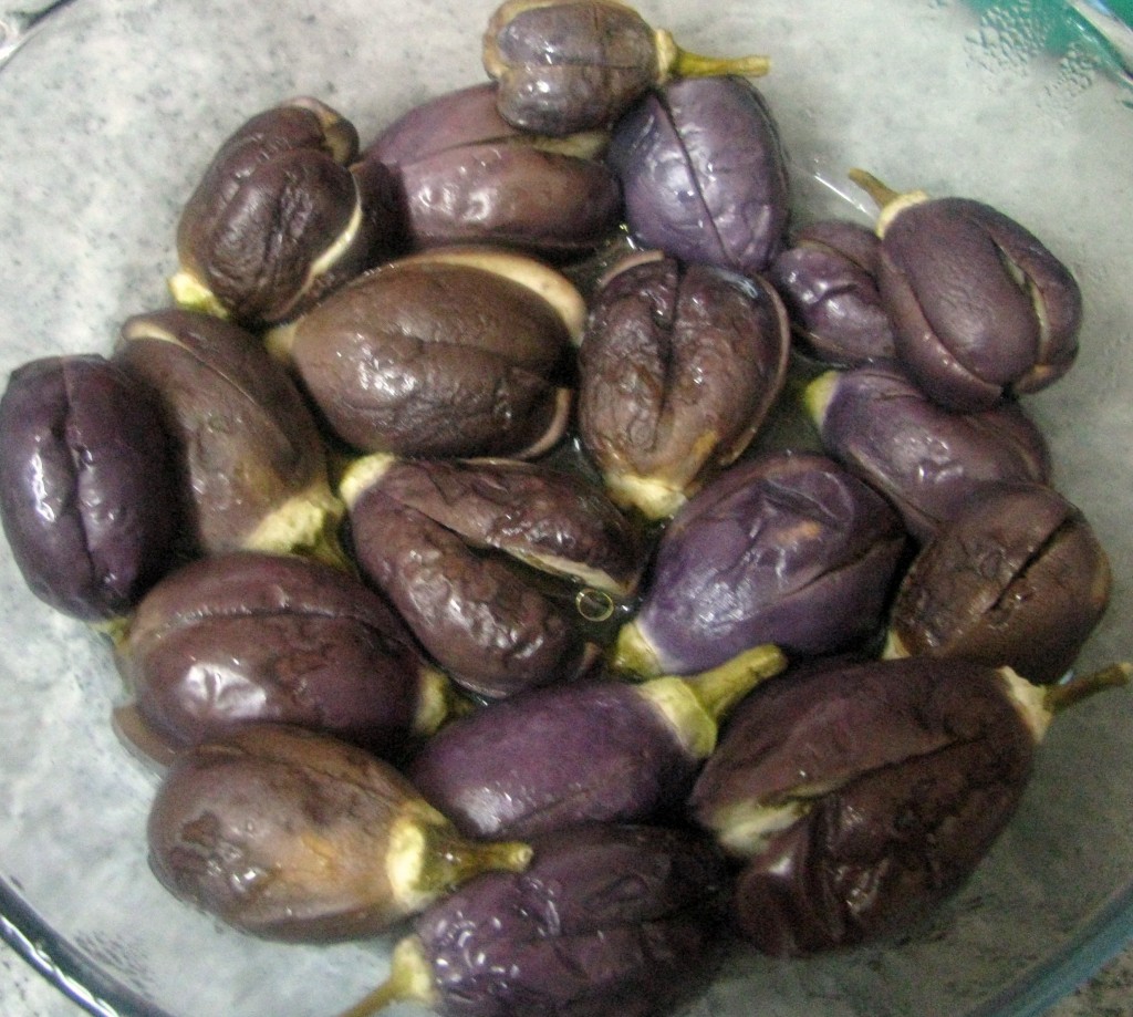 micro eggplant