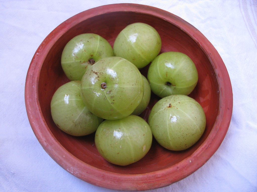 Amla | Indian Gooseberry