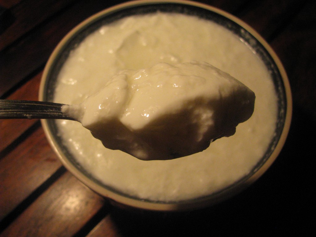curd / dahi / yoghurt set in winters 