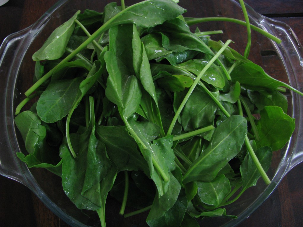 palak or spinach leaves