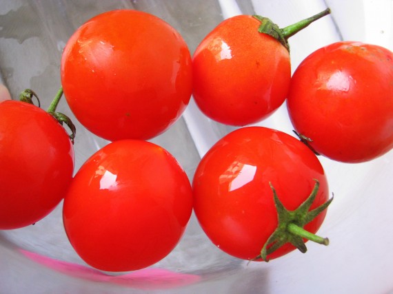 cherry tomatoes