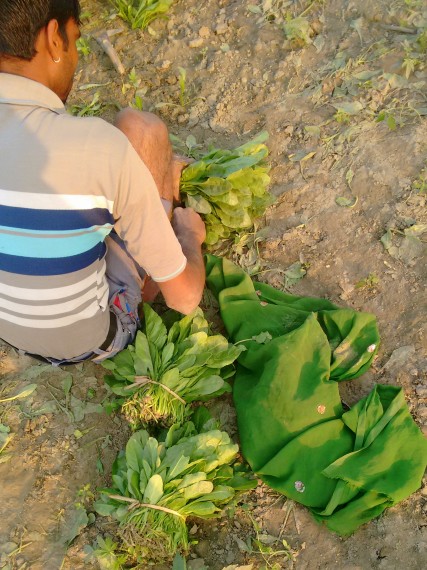 The Generous Farmer