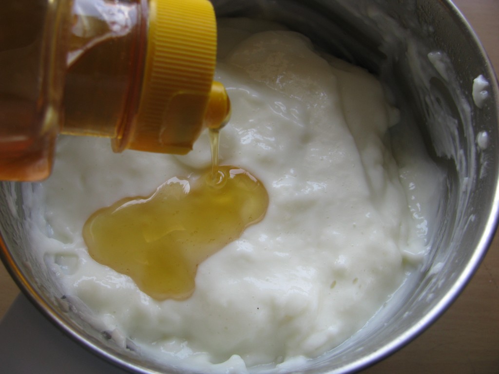 Eggless Mayonnaise Recipe Veg Mayonnaise Recipe Homemade low