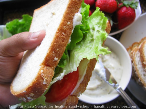 Eggless Mayo spread