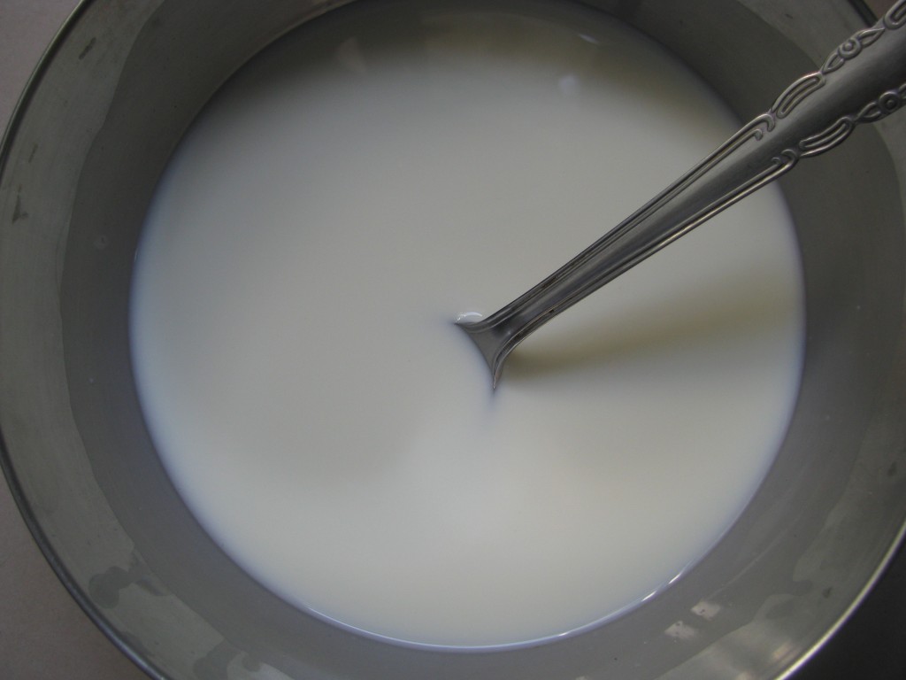 Eggless Mayonnaise Recipe Veg Mayonnaise Recipe Homemade low